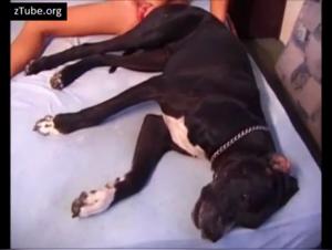 Sacred Sluts: Submission and Lots of Dog