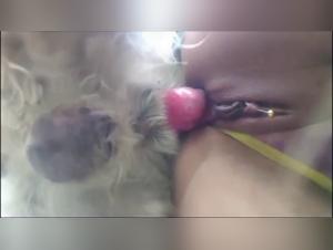 Deepido felino: chupa y bestial fuck