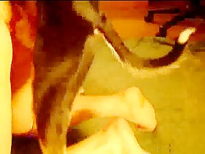 The Woman and the Dog: A Forbidden Meeting