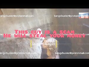 Zoophilia Video: An Exciting and Taboo Experience