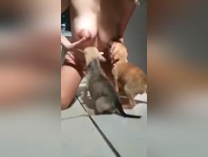 lactancia animalesca, jouissance brutale et hardcore
