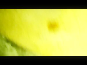 Dog Sex Videos and More in this Taboo Tale