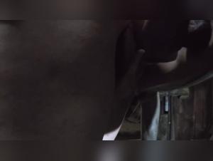 Schonheit einer Schlampe, die einen Hund in hoher Qualitat fickt