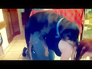 Sex with Dog Video: Extreme and Hard