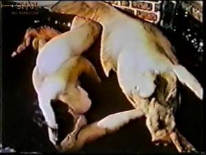 Un Chien enragé, une Jeune Femme Impuissante : La Bestialité au Grand Jour