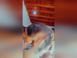 Kraftvoller Hund, hilfloser Latyzoo: Eine Szene tierischer Ausschweifungen