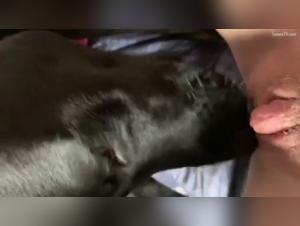 Domination Canine: La Bête en Elle