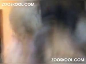 Giclée Feroces,  Salope Dévouée au Chien