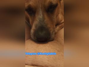 Sweet canine delirium