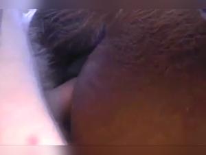 Feline Domination: A Slut and Her Dog