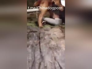 Student and dog without limits
