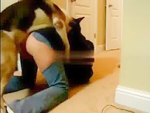 Exclusive dog sex video