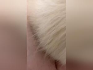 When Animal Need Takes Command