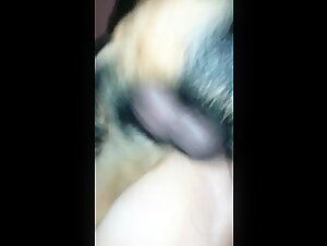 Watch this Dog Sex Video in 720p
