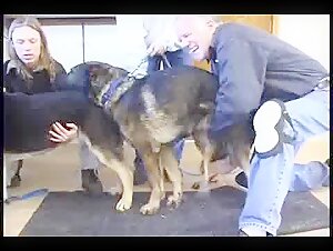 Entdecken Sie mit unserem GSD die Welt der Zoophilie und des Extremen