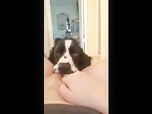 Exploring the Taboo World of Bestiality