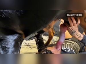 Sperm Splash and Merciless Canine Domination