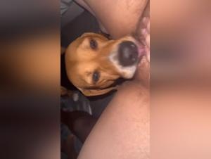 BBW under the control of insatiable canine passion