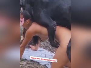 zoophilie hardcore : violence animale et jouissance