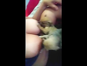 Discover the art of zoophilia with puppies