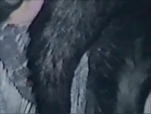 Hardcore zoophilia: Relentless animal fucking