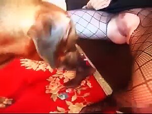 Einen Hund zu ficken kann kostlich sein, aber wie bringt man das im Video zum Ausdruck?