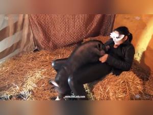 Animal high without limits