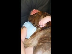 Exclusive Bestiality and Animal Sex Videos