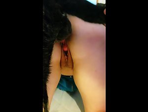 Bestiality sex video with dog