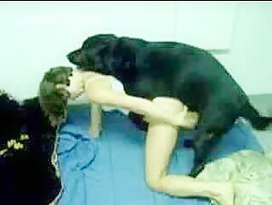 Dog sex videos: discover our selection