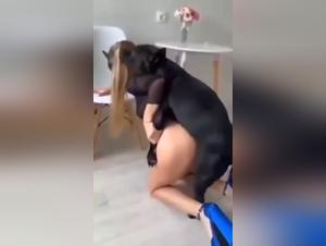 Mierda salvaje, impulsos incontrolables, placer extremo