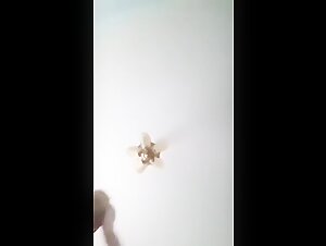 Dogsex video: a woman and her dog