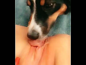 Amateur milf prefers sex with her dog rather than with a man