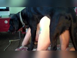 Brute satisfaction: the jungle of canine love