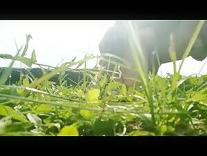Discover Hardcore and Extreme Dog Sex Videos