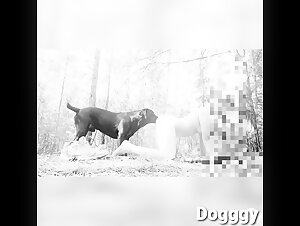 Discover the Pleasures of Bestiality with our Dog Sex Video