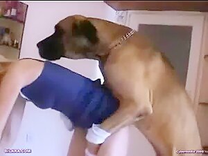 Bestiality Video with an Undisputed Queen