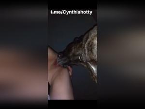 Animal Delight: His Cock Explores His Deep Throat