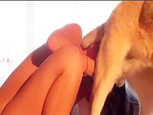 Discover the World of Bestiality and Zoophilia