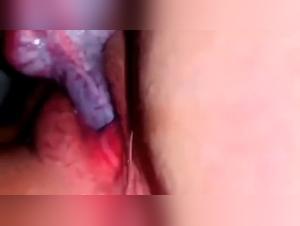 Teil 1: Millys Tierherrschaft enthullt