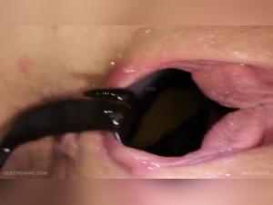 Immersion in a fetishistic universe: girls and dogs in unrestrained antics