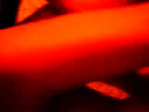 Check out Sara's beastly sex videos with her dog