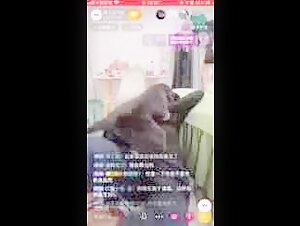 Dog sex videos: discover our selection