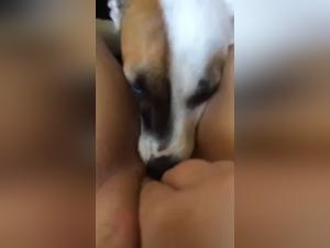 Slut Fucked by Her Dog: Obscene Delights Part 1
