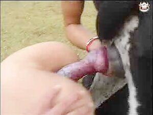 Dog sex video: Amanda and her canine companion