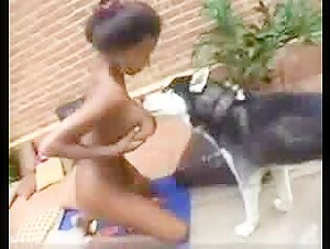 Bestiality sex video with a Latina TS and a dog