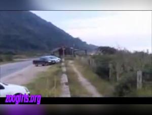 Brutal zoophilia: The elephant pays for its enjoyment