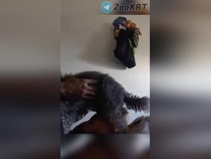 Fuck and her dog, wild animal pleasure