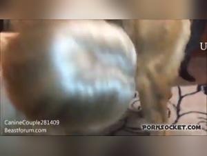 Explore Animal Obsession - Hardcore XXX Videos