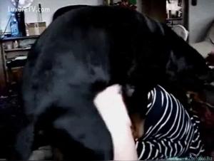 Milly reveals her instincts: Wild dog fucking in this hardcore session